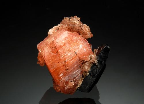 Serandite<br />Cantera Poudrette, Mont Saint-Hilaire, La Vallée-du-Richelieu RCM, Montérégie, Québec, Canadá<br />1.5 x 1.8 cm<br /> (Author: crosstimber)