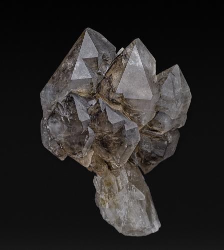 Quartz (variety smoky quartz)<br />Deer Hill, Stow, Condado Oxford, Maine, USA<br />7.9 x 5.3 cm<br /> (Author: am mizunaka)