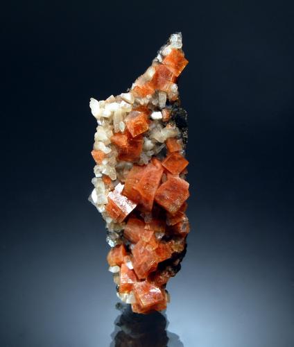 Chabazite (Series)<br />Acantilado Wasson, Bahía de Fundy, Parrsboro, Condado Cumberland, Nueva Escocia, Canadá<br />3.0 x 9.1 cm<br /> (Author: crosstimber)