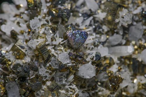 Quartz, Pyrite<br />Mina Oppu, Nishimeya-mura, Distrito Nakatsugaru, Prefectura Aomori, Región Tohoku, Isla Honshu, Japón<br /><br /> (Author: am mizunaka)