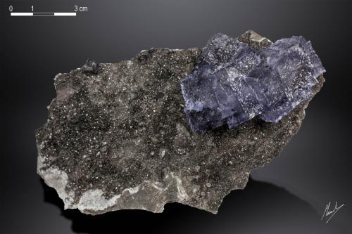 Fluorite<br />Mina Elmwood, Carthage, Distrito Central Tennessee Ba-F-Pb-Zn, Condado Smith, Tennessee, USA<br />139 x 80 mm<br /> (Author: Manuel Mesa)