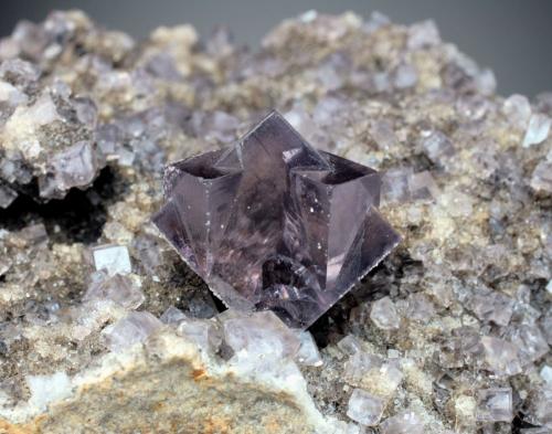 Fluorite<br />Cantera Newlandside, Stanhope, Weardale, North Pennines Orefield, County Durham, Inglaterra / Reino Unido<br />crystal is 2.2 cm across<br /> (Author: Jesse Fisher)