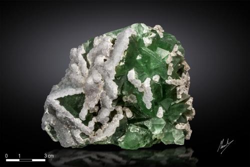 Fluorite<br />Fotang, Yiwu, Prefectura Jinhua, Provincia Zhejiang, China<br />115 x 82 mm<br /> (Author: Manuel Mesa)