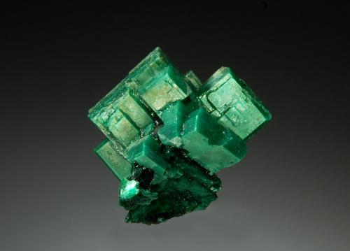 Metatorbernite<br />Mina Margabal, Entraygues-sur-Truyère, Lot et Truyère, Rodez, Aveyron, Occitanie, Francia<br />1.8 x 1.8 cm<br /> (Author: crosstimber)