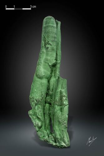 Malachite<br />Mina L'Etoile du Congo, Lubumbashi (Elizabethville), Cinturón de cobre de Katanga, Haut-Katanga (Shaba), República Democrática del Congo (Zaire)<br />147 X 43 mm<br /> (Author: Manuel Mesa)