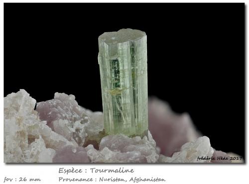 Tourmaline<br />Nuristan Province, Afghanistan<br />fov 26 mm<br /> (Author: ploum)