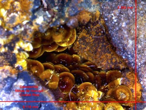 Cacoxenita.<br />Minas de El Horcajo, El Horcajo, Almodóvar del Campo, Comarca Campo de Calatrava, Ciudad Real, Castilla-La Mancha, España<br />8´116 x 5´392 mm.<br /> (Autor: Jesus Franquesa Baucells)