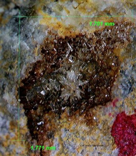 Piromorfita<br />Minas Can Magre, Vidreres, Comarca La Selva, Gerona / Girona, Cataluña / Catalunya, España<br />1´771 x 1´701 mm.<br /> (Autor: Jesus Franquesa Baucells)