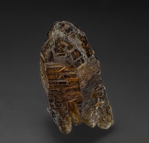 Quartz (variety smoky quartz)<br />Colina Hill, distrito minero Torrington, Condado Clive, Nueva Gales del Sur, Australia<br />5.0 x 2.6 cm<br /> (Author: am mizunaka)