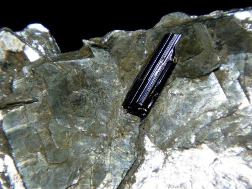 Rutilo en Moscovita<br />Rist Mine, Hiddenite, Alexander County, North Carolina, USA<br />Cristal de 1 cm.<br /> (Autor: Antonio P. López)