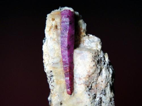 Corindon (variedad rubí)<br />Ketito, Región Arusha, Tanzania<br />Cristal de 3,40 cm.<br /> (Autor: Antonio P. López)