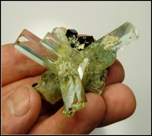 Beryl (variety aquamarine) with schorl<br />Monte Erongo, Usakos, Región Erongo, Namibia<br />60 x 50 x 47 mm<br /> (Author: Pierre Joubert)