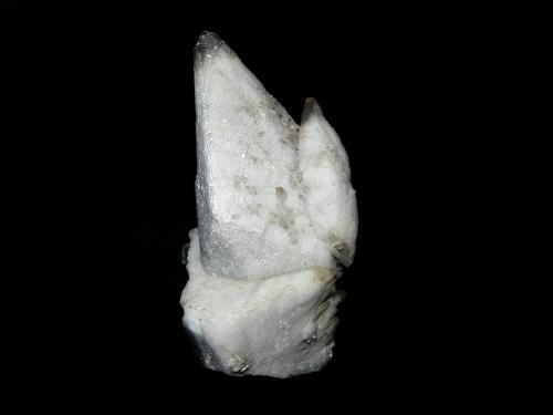 Calcita<br />Mina Blackstone, Zona Shullsburg, Distrito Upper Mississippi Valley, Condado Lafayette, Wisconsin, USA<br />11 x 5 cm.<br /> (Autor: Antonio P. López)