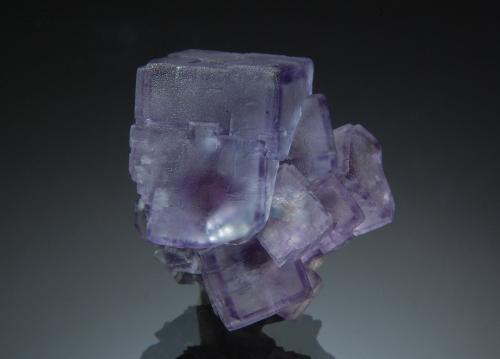 Fluorite<br />Cantera de granito, Shannapheasteen, Connemara, Condado Galway, Connacht, Irlanda<br />2.5 x 2.9 cm<br /> (Author: crosstimber)