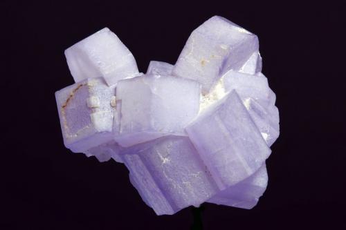 Fluorapatito<br />Ali Abad, Valle Hunza, Distrito Nagar, Gilgit-Baltistan (Áreas del Norte), Paquistán<br />25x23mm<br /> (Autor: Ramon A  Lopez Garcia)