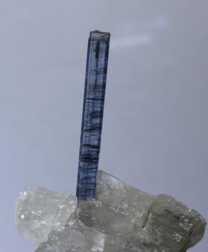 Cianita<br />Araçuaí, Jequitinhonha, Minas Gerais, Brasil<br />cristal 30x3 mm<br /> (Autor: Ramon A  Lopez Garcia)