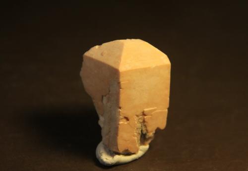 Microcline<br />Pedrera Mas Sever, Massabè (Mas Ceber), Sils, Comarca La Selva, Gerona / Girona, Cataluña / Catalunya, España<br />14mm x 30mm x 14mm<br /> (Author: franjungle)