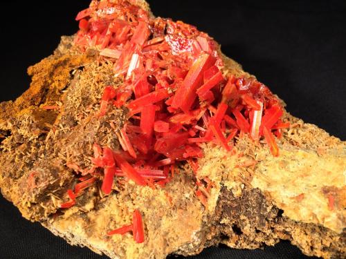 Crocoite<br />Mina Adelaide, Campo minero Dundas, Distrito Zeehan, Consejo Costa Oeste, Tasmania, Australia<br />153 mm x 110 mm x 85 mm<br /> (Author: Robert Seitz)