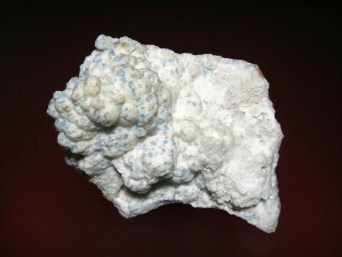 Celestina<br />Mina Mojina, Rancho de Mojina, Ricardo Flores Magón (El Carmen), Municipio Buenaventura, Chihuahua, México<br />8 x 6 cm.<br /> (Autor: Antonio P. López)