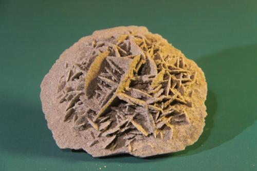 Gypsum<br />Afloramiento de Yesos, Baza, Comarca Baza, Granada, Andalucía, España<br />68mm x 59mm x 32mm<br /> (Author: franjungle)