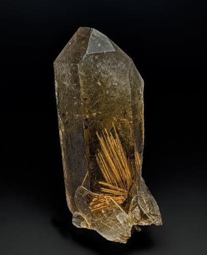 Quartz (variety smoky quartz), Rutile<br />Cascavel, Paraná, Brasil<br />12.5 x 5.6 cm<br /> (Author: am mizunaka)