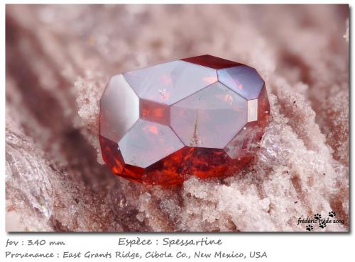 Spessartine<br />Sierra East Grants, Condado Cibola, New Mexico, USA<br />fov 3.4 mm<br /> (Author: ploum)