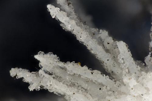 Clinoptilolite, Mordenite, Erionite-Ca<br />Cantera Cape Lookout, Netarts, Condado Tillamook, Oregon, USA<br />FOV = 3.3 mm<br /> (Author: Doug)