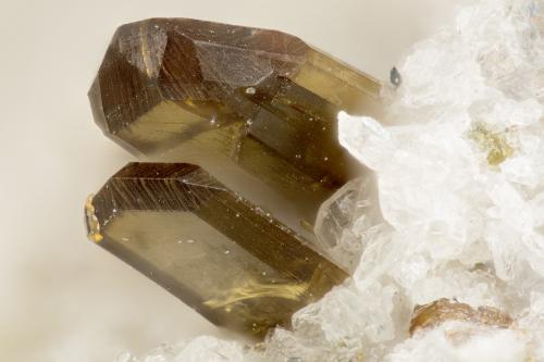 Enstatite<br />Summit Rock, Condado Klamath, Oregon, USA<br />FOV = 1.5 mm<br /> (Author: Doug)