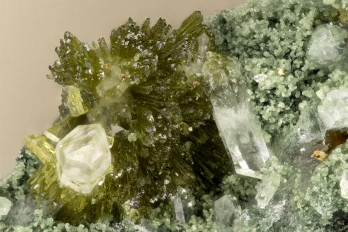 Epidote<br />Canteras Kapaa, Kailua, Isla Oahu, Condado Honolulu, Hawaii, USA<br />FOV = 2.4 mm<br /> (Author: Doug)