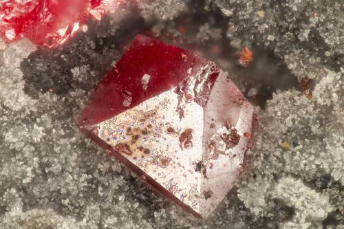 Cinnabar<br />Mina New Idria, Montes Diablo, Idria, Distrito New Idria, Condado San Benito, California, USA<br />FOV = 1.0 mm<br /> (Author: Doug)