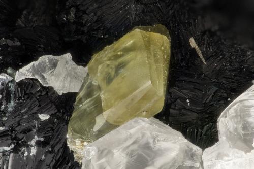 Titanite<br />Zona Hansen Creek Crystal, arroyo Hansen, North Bend, Condado King, Washington, USA<br />FOV = 2.8 mm<br /> (Author: Doug)