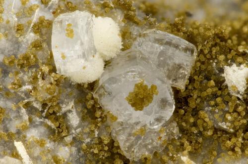 Fluorapophyllite-(K)<br />Devils Backbone, Brazo norte del río John Day, Ritter, Condado Grant, Oregon, USA<br />FOV = 3.3 mm<br /> (Author: Doug)