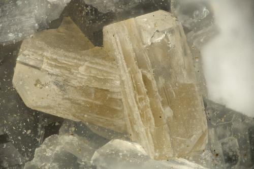 Fluorapophyllite-(K)<br />Big Bend, Kimberley, Condado Grant, Oregon, USA<br />FOV = 1.8 mm<br /> (Author: Doug)