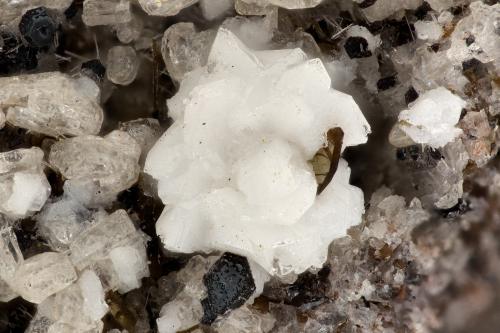 Cristobalite<br />Summit Rock, Condado Klamath, Oregon, USA<br />FOV = 3.3 mm<br /> (Author: Doug)