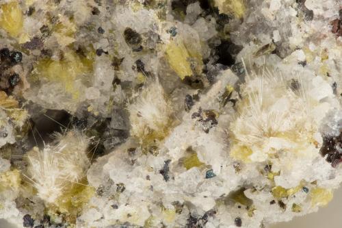 Aegirine<br />Summit Rock, Klamath County, Oregon, USA<br />FOV = 3.1 mm<br /> (Author: Doug)