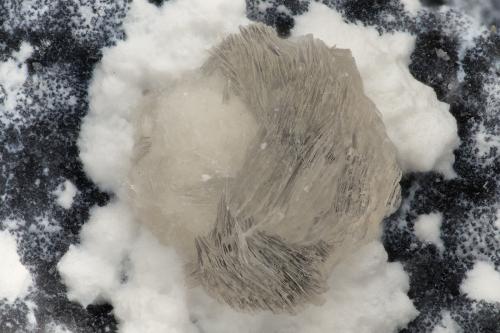 Gyrolite<br />Devils Backbone, Brazo norte del río John Day, Ritter, Condado Grant, Oregon, USA<br />FOV = 3.3 mm<br /> (Author: Doug)