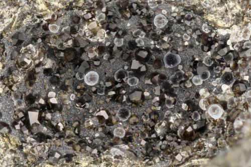 Analcime, Thomsonite<br />Cantera Four Mile, Porter, Condado Grays Harbour, Washington, USA<br />FOV = 3.6 mm<br /> (Author: Doug)