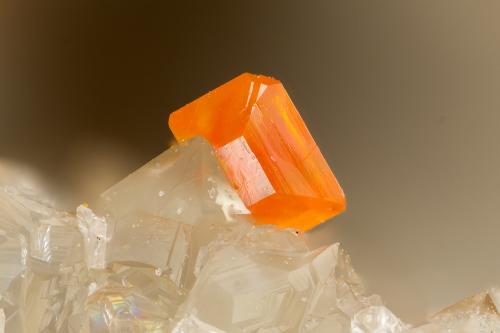 Wulfenite<br />Mina Florence, zona Ripsey Hill, Montes Tortilla, Kearney, Distrito Ripsey, Condado Pinal, Arizona, USA<br />FOV = 0.9 mm<br /> (Author: Doug)