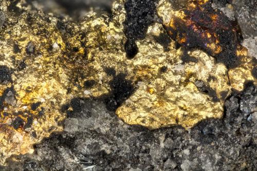 Gold<br />Mina Silbak Premier, Stewart, División Skeena Mining, Columbia Británica, Canadá<br />FOV = 1.9 mm<br /> (Author: Doug)