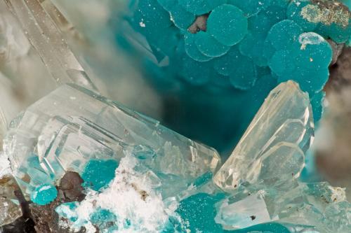 Hemimorphite, Rosasite<br />Mina Hidden Treasure, zona Ophir Hill, Montes Oquirrh, Distrito Ophir, Condado Tooele, Utah, USA<br />FOV = 3.2 mm<br /> (Author: Doug)