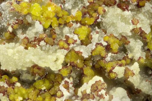 Gartrellite, Carminite<br />Mina Gold Hill, Gold Hill, Distrito Gold Hill, Condado Tooele, Utah, USA<br />FOV = 1.7 mm<br /> (Author: Doug)