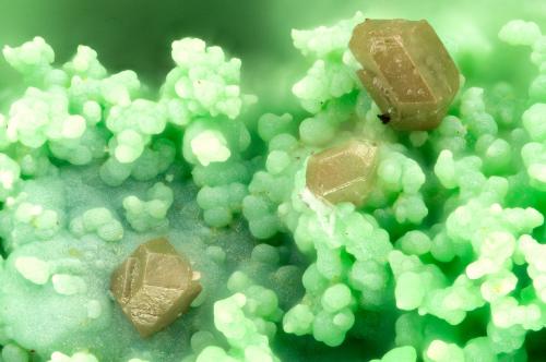 Chlorargyrite<br />Mina Gold Hill, Gold Hill, Distrito Gold Hill, Condado Tooele, Utah, USA<br />FOV = 1.2 mm<br /> (Author: Doug)