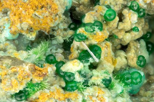 Mixite, Conichalcite<br />Mina Gold Hill, Gold Hill, Distrito Gold Hill, Condado Tooele, Utah, USA<br />FOV = 2.9 mm<br /> (Author: Doug)