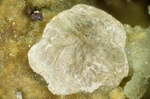 Cerussite<br />Mina Reward, Reward, Distrito Russ, Condado Inyo, California, USA<br />FOV = 1.8 mm<br /> (Author: Doug)