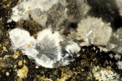 Cowlesite<br />Bahía Taratimi (Bahía Crater), Isla Mayor (Tuhua), Nueva Zelanda<br />FOV = 1.2 mm<br /> (Author: Doug)