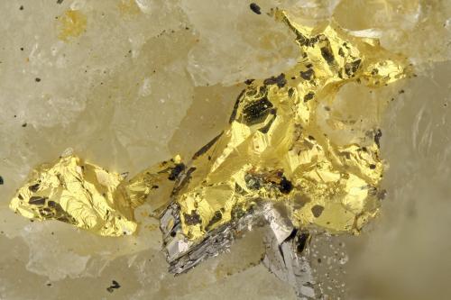 Gold<br />Mina Harrison Gold, Monte Bear, Lago Harrison, Chilliwack, Distrito Regional Fraser Valley, Columbia Británica, Canadá<br />FOV = 1.7 mm<br /> (Author: Doug)