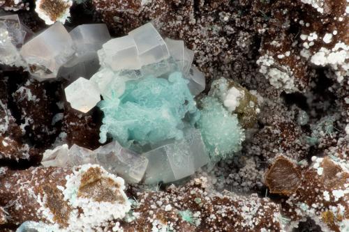 Fluorite<br />Mina Silver Coin, Valmy, Distrito Iron Point, Condado Humboldt, Nevada, USA<br />FOV = 3.3 mm<br /> (Author: Doug)