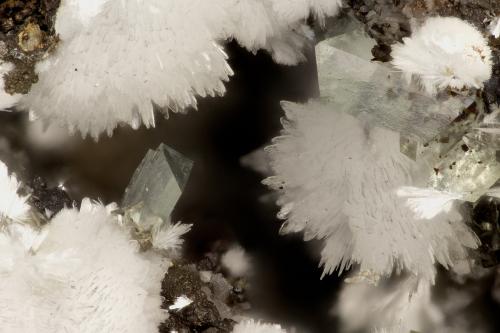 Hemimorphite, Adamite<br />Simon Mine, Bell District, Mineral County, Nevada, USA<br />FOV = 2.8 mm<br /> (Author: Doug)