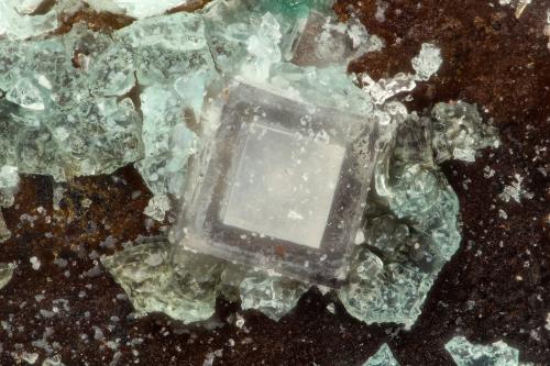 Fluorite<br />Mina Silver Coin, Valmy, Distrito Iron Point, Condado Humboldt, Nevada, USA<br />FOV = 0.8 mm<br /> (Author: Doug)