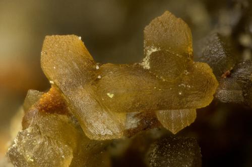 Siderite<br />Gold Quarry Mine, Maggie Creek Subdistrict, Carlin Trend, Eureka County, Nevada, USA<br />FOV = 2.9 mm<br /> (Author: Doug)